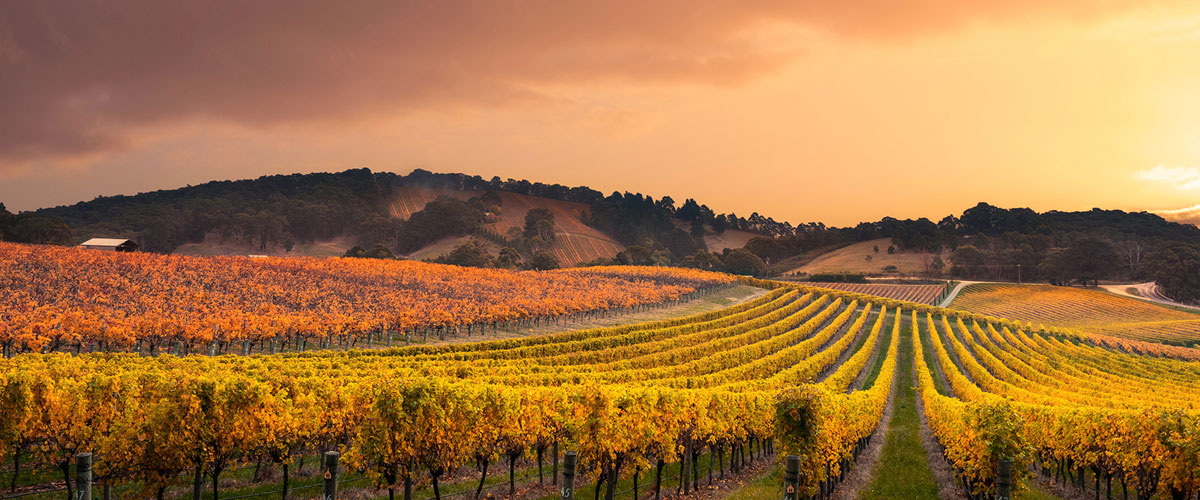Welcome to our April Newsletter